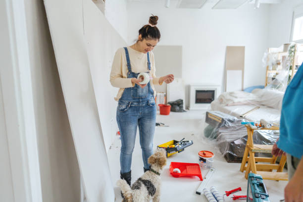 Best Drywall Crack Repair  in Hollister, MO